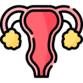 Gynaecology