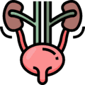 Urology